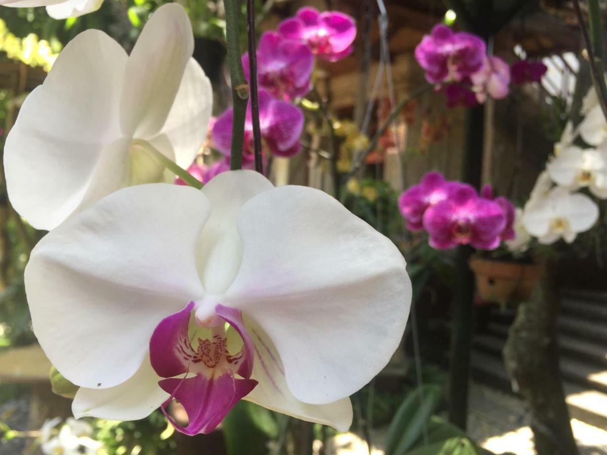 Tungeh Inn Ubud Zewnętrze zdjęcie